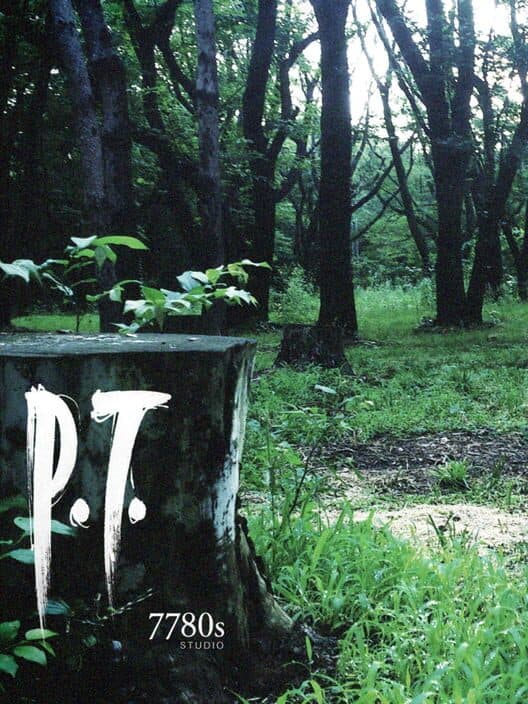P.T. box art